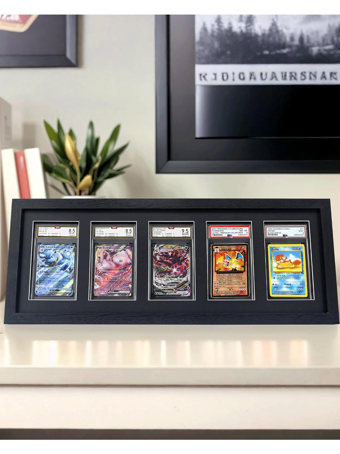Trading Card Display Frame for PSA Graded Cards