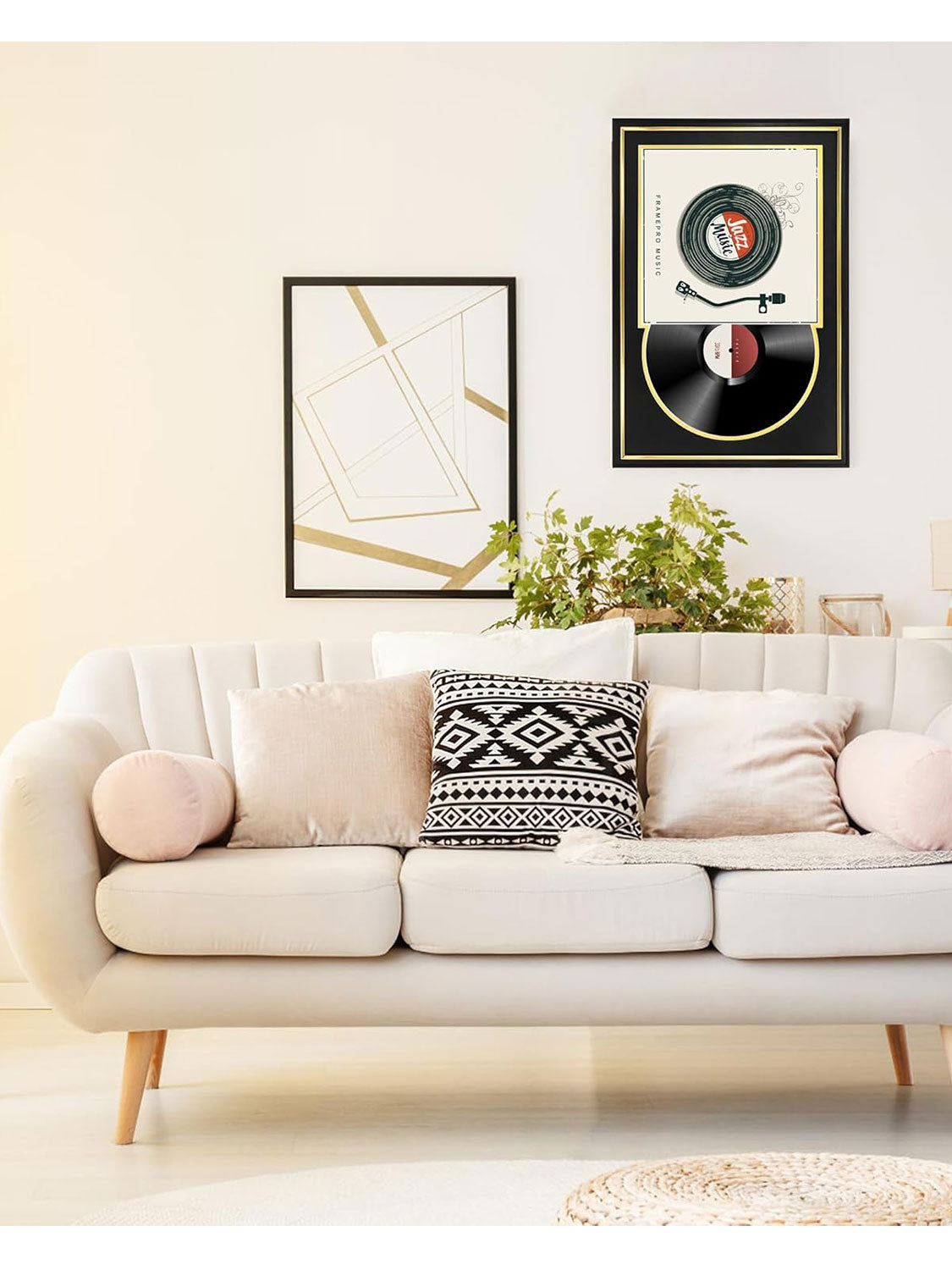 Vinyl Record Display Frame for LP Album Covers and Records